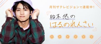 柏木悠の「はる。のれんさい」